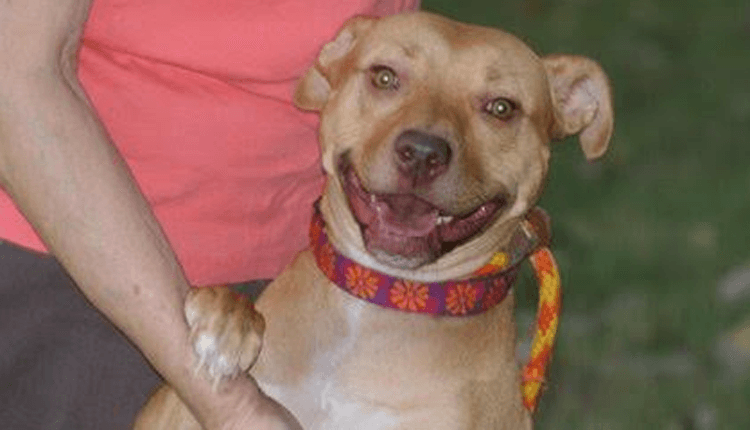 Register for the race