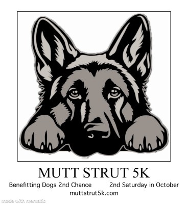 mutt strut 5k benefitting dogs 2nd chance grey